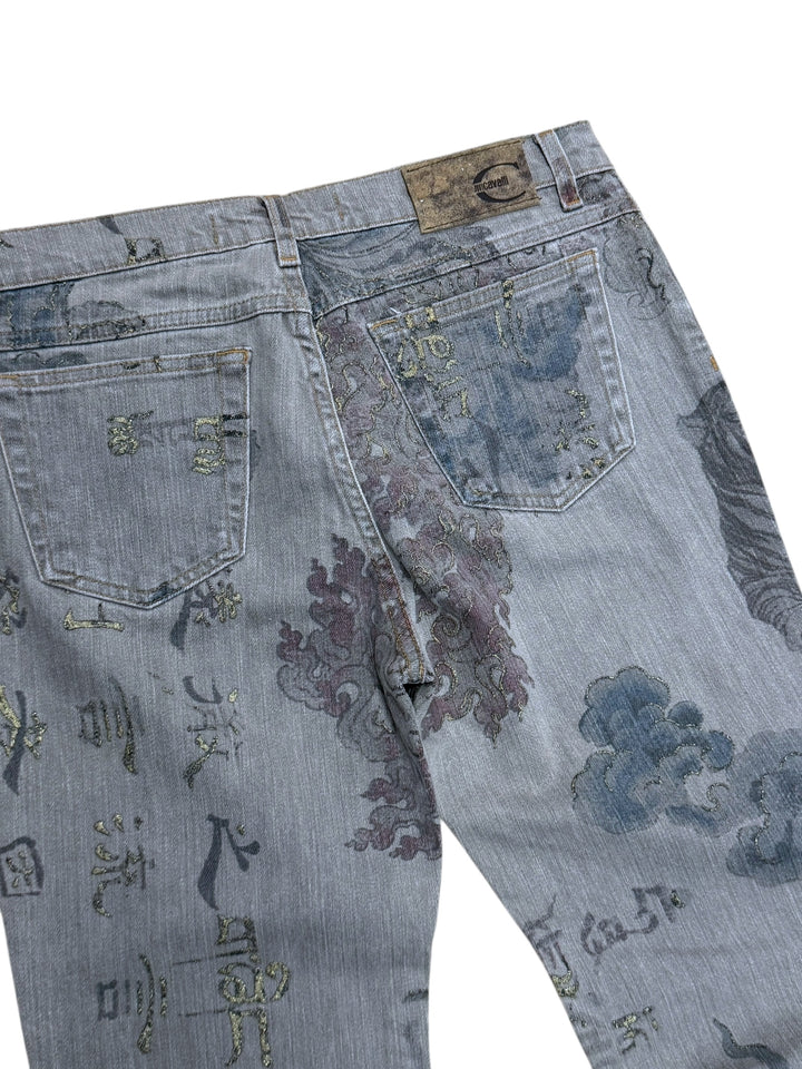 Just Cavalli AW2003 archive  “Asian World Fantasy” grey printed jeans
