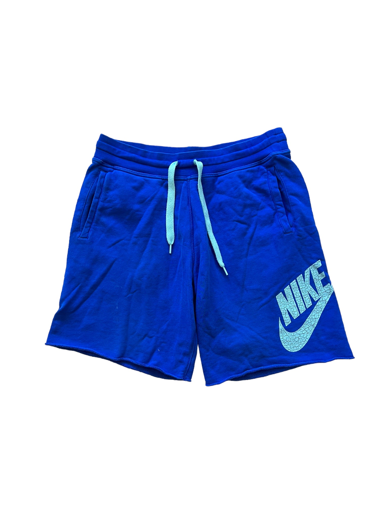 Large hot sale nike shorts