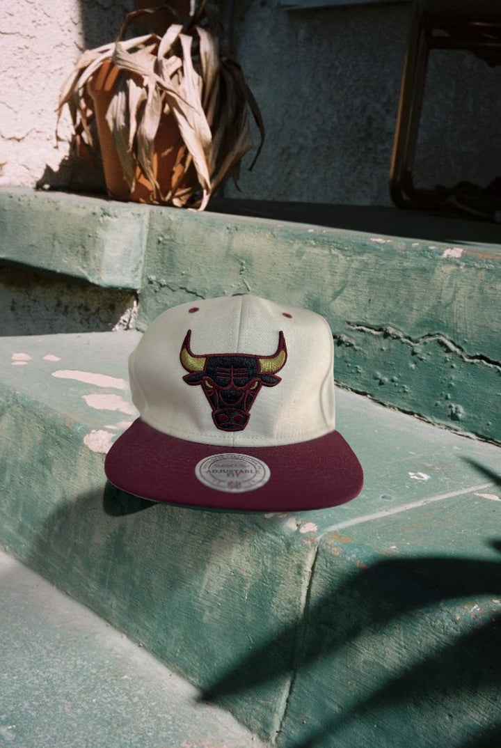 Chicago Bulls Mitchell & Ness SnapBack Hat 1996 NBA Finals